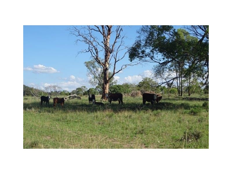 870 Thanes Creek Road, Warwick QLD 4370