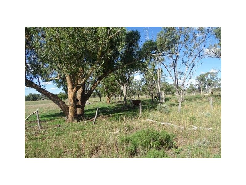 870 Thanes Creek Road, Warwick QLD 4370