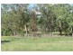 870 Thanes Creek Road, Warwick QLD 4370