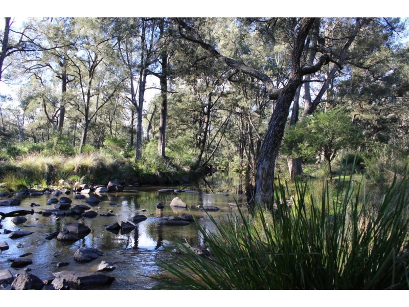 454 Bruxner Way, Tenterfield NSW 2372