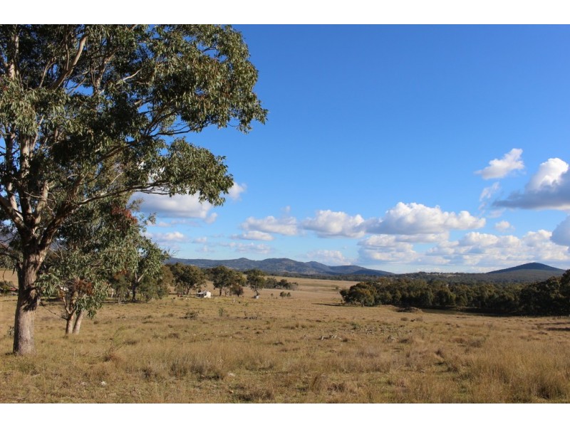 454 Bruxner Way, Tenterfield NSW 2372