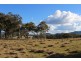 454 Bruxner Way, Tenterfield NSW 2372