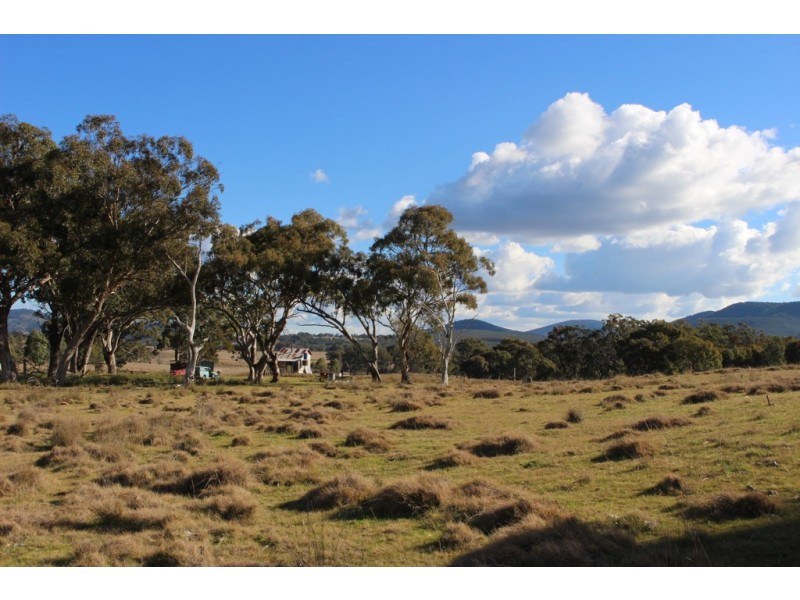 454 Bruxner Way, Tenterfield NSW 2372