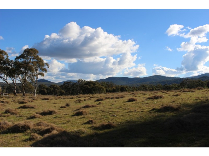 454 Bruxner Way, Tenterfield NSW 2372