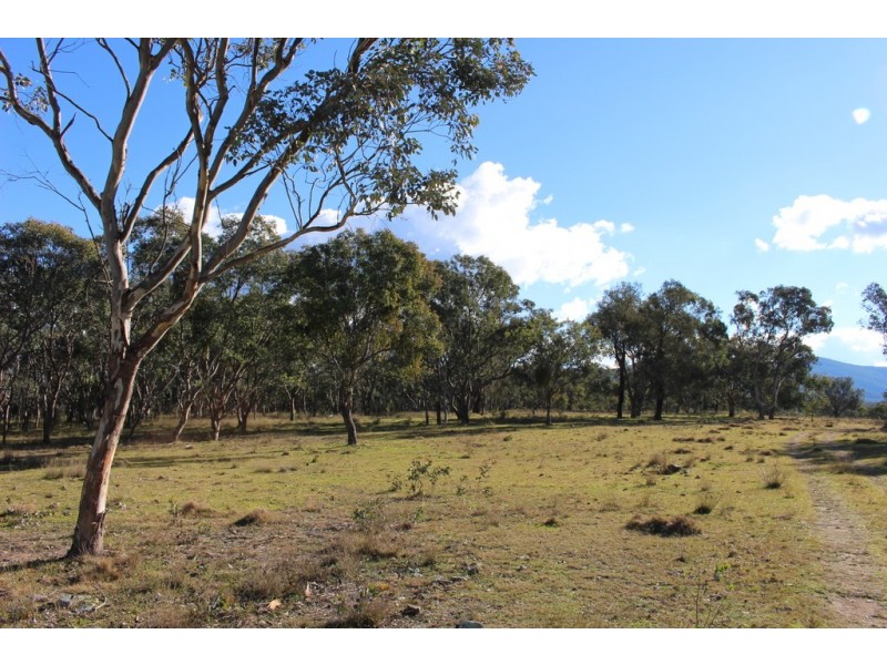 454 Bruxner Way, Tenterfield NSW 2372