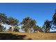 454 Bruxner Way, Tenterfield NSW 2372