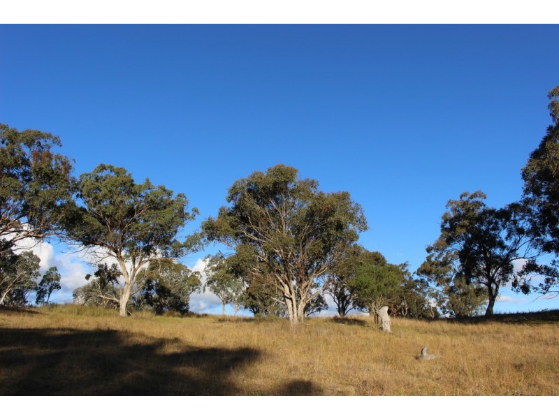 454 Bruxner Way, Tenterfield NSW 2372