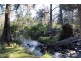 454 Bruxner Way, Tenterfield NSW 2372