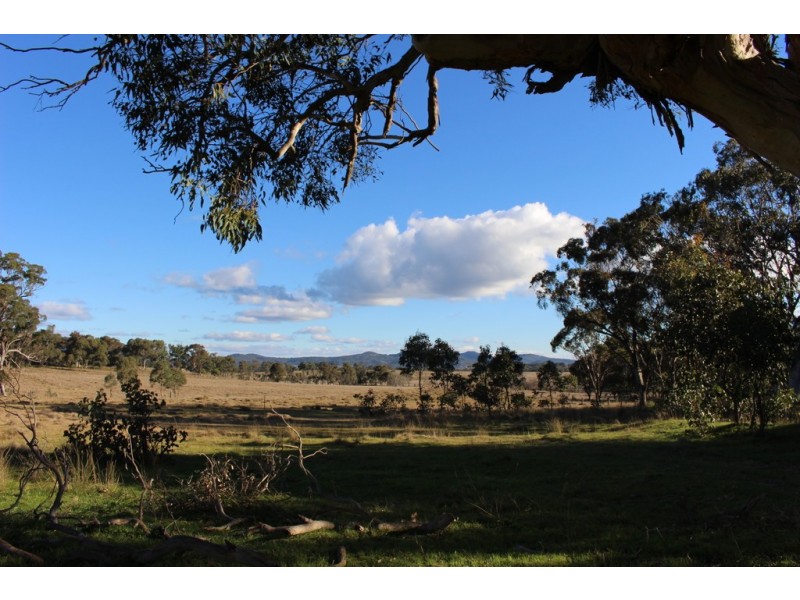 454 Bruxner Way, Tenterfield NSW 2372