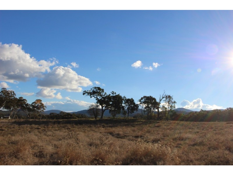 454 Bruxner Way, Tenterfield NSW 2372
