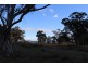 454 Bruxner Way, Tenterfield NSW 2372