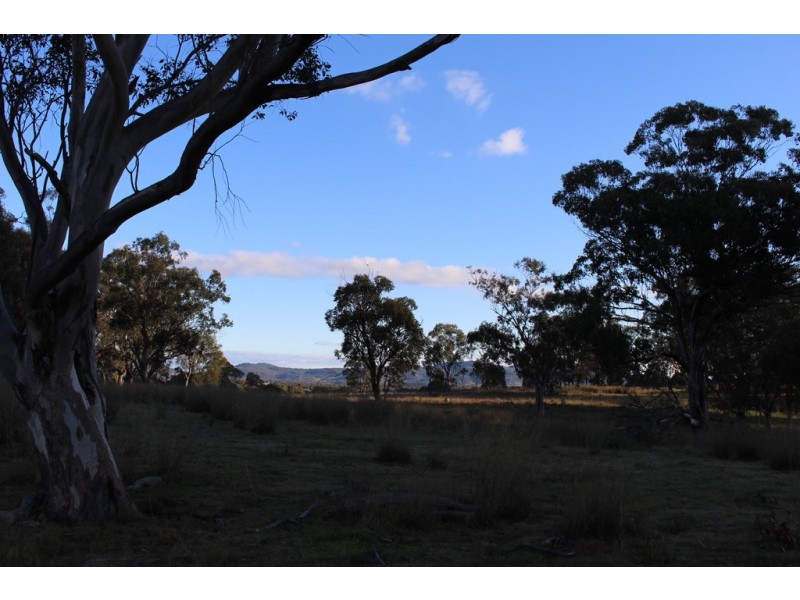 454 Bruxner Way, Tenterfield NSW 2372