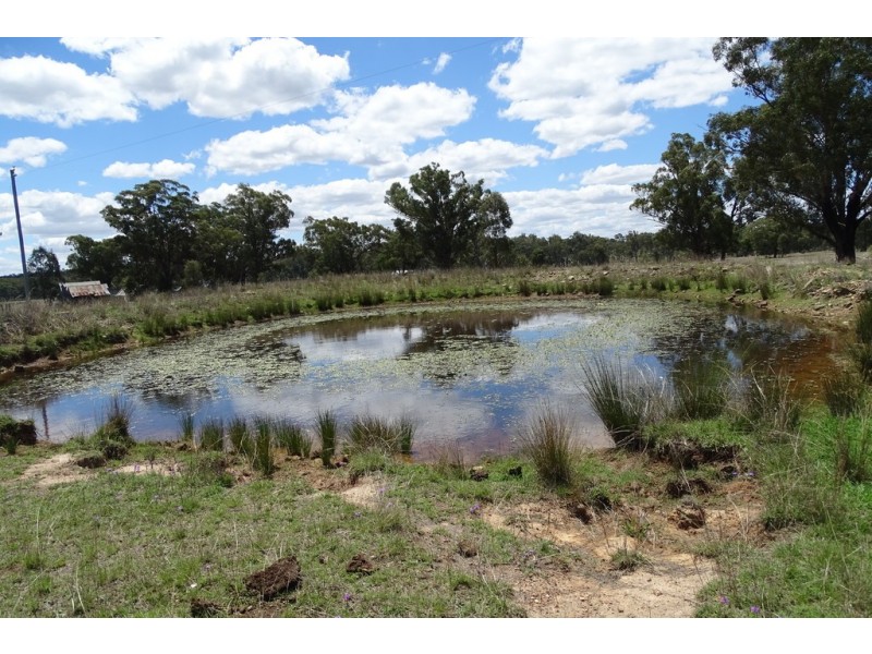 Corner of Wickham and Leyburn Forestry Roads, Warwick QLD 4370