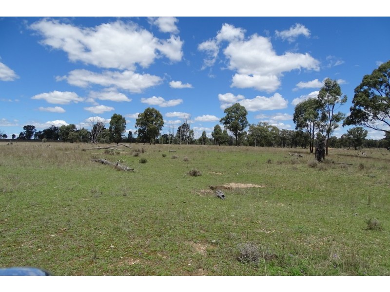 Corner of Wickham and Leyburn Forestry Roads, Warwick QLD 4370