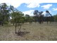 Corner of Wickham and Leyburn Forestry Roads, Warwick QLD 4370