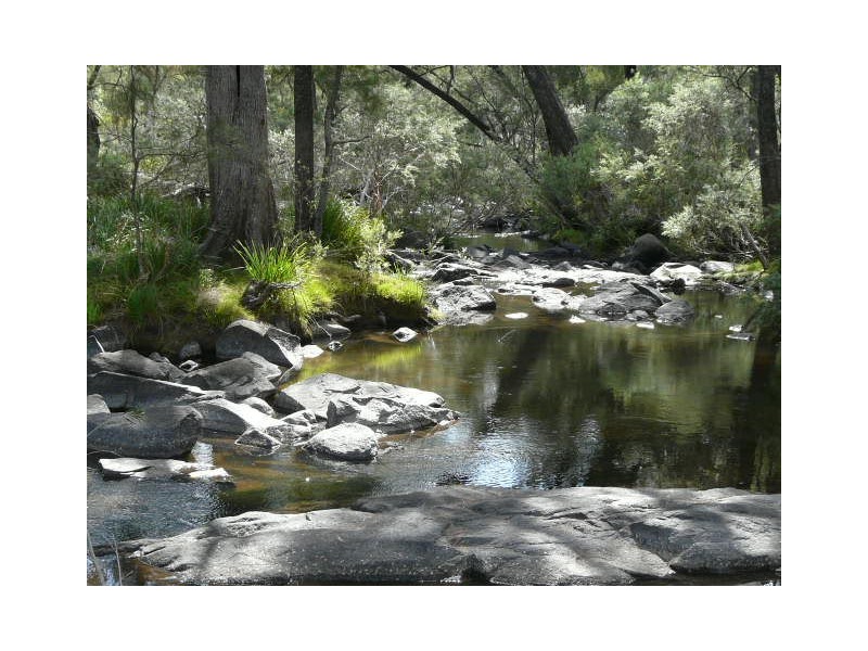 130 Platypus Valley, Tenterfield NSW 2372