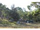 130 Platypus Valley, Tenterfield NSW 2372