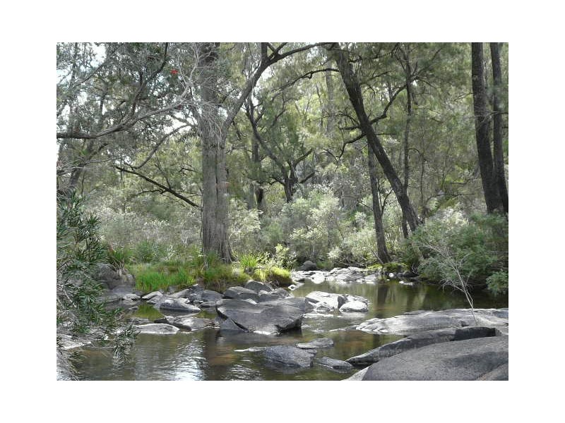 130 Platypus Valley, Tenterfield NSW 2372