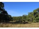130 Platypus Valley, Tenterfield NSW 2372