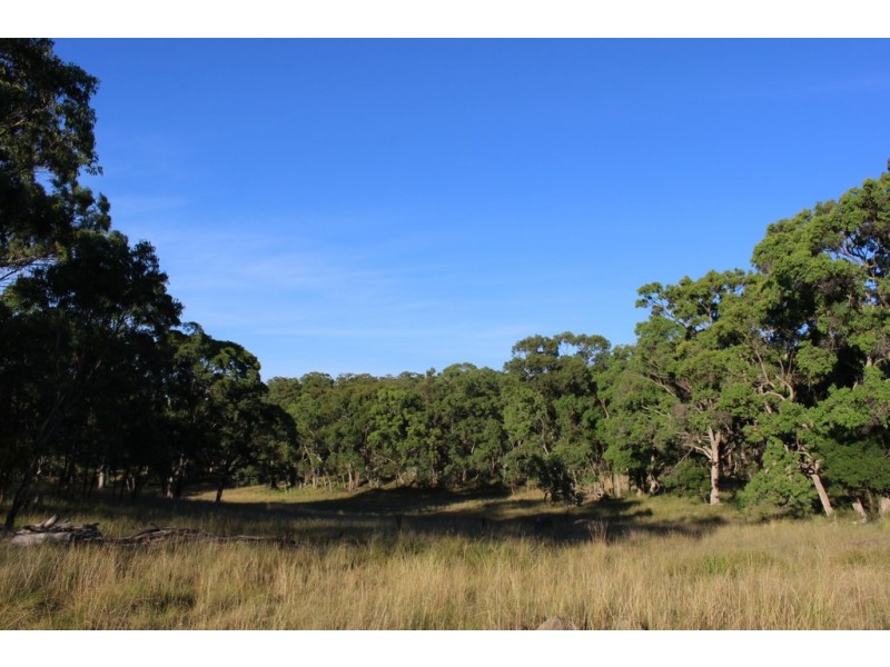 130 Platypus Valley, Tenterfield NSW 2372