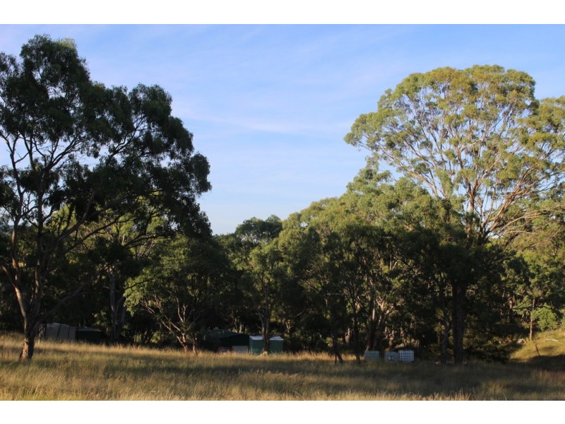 130 Platypus Valley, Tenterfield NSW 2372
