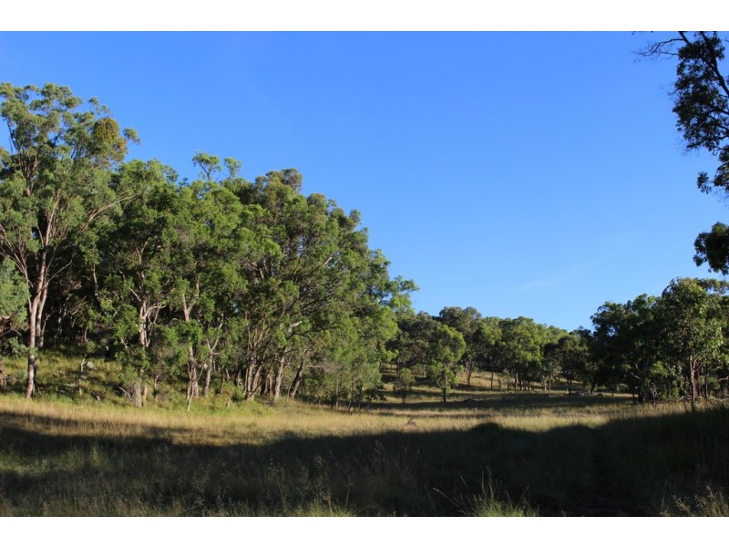 130 Platypus Valley, Tenterfield NSW 2372