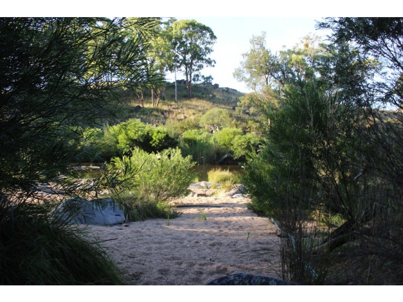 130 Platypus Valley, Tenterfield NSW 2372