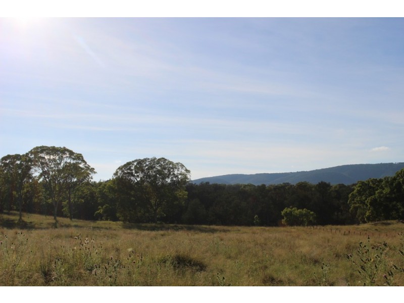 130 Platypus Valley, Tenterfield NSW 2372