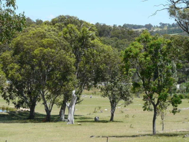 8986 New England Highway, Tenterfield NSW 2372