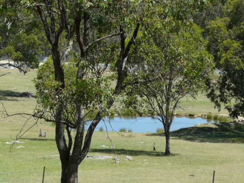 8986 New England Highway, Tenterfield NSW 2372