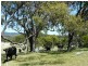 8986 New England Highway, Tenterfield NSW 2372