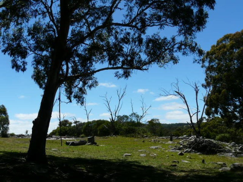 8986 New England Highway, Tenterfield NSW 2372