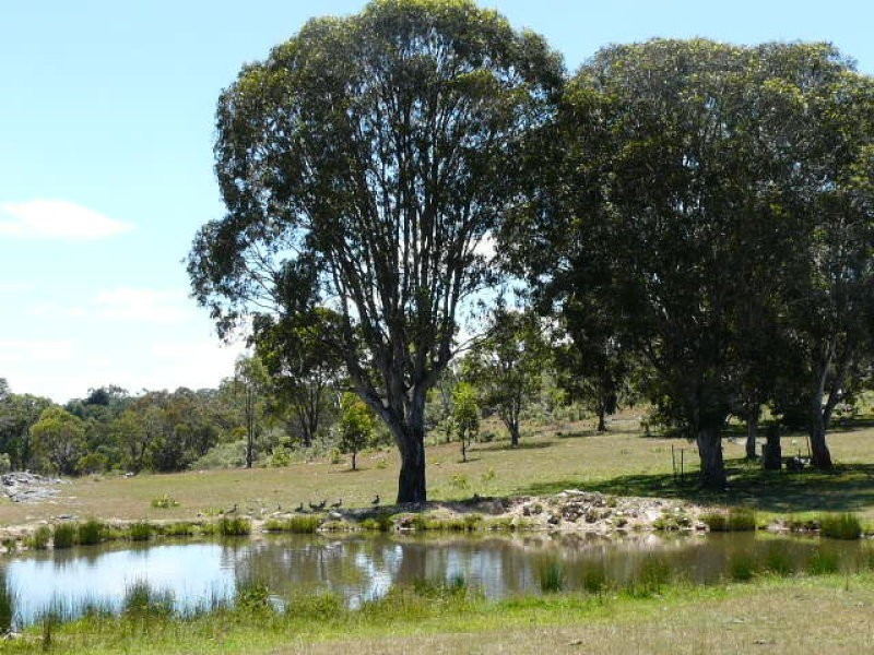 8986 New England Highway, Tenterfield NSW 2372