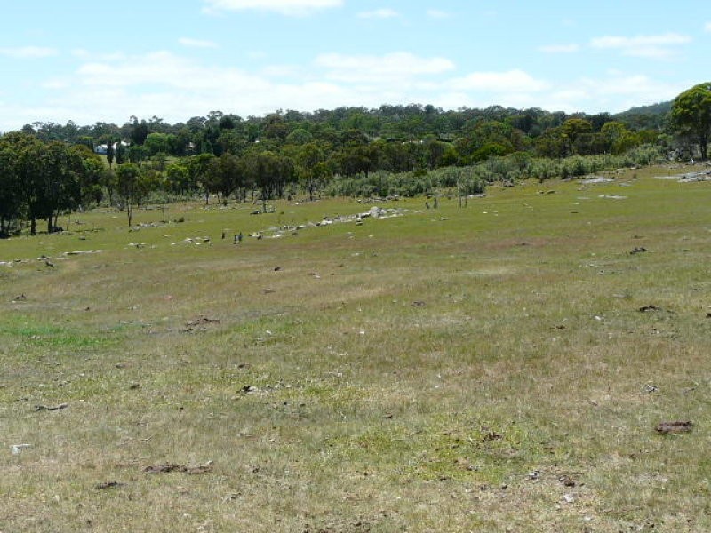 8986 New England Highway, Tenterfield NSW 2372