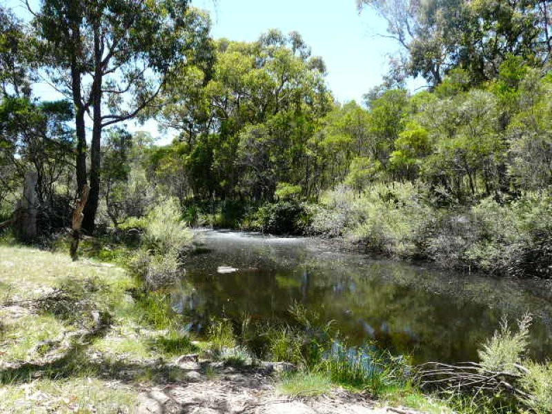 8986 New England Highway, Tenterfield NSW 2372