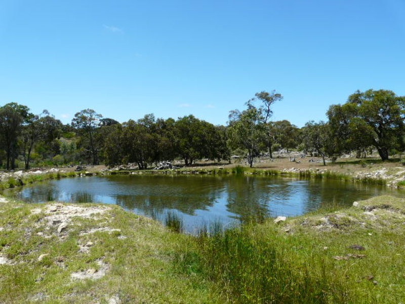 8986 New England Highway, Tenterfield NSW 2372