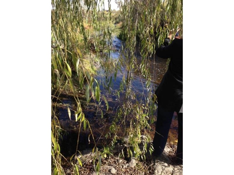 Lot 3,4,5,10 Tenterfield Street, Deepwater NSW 2371