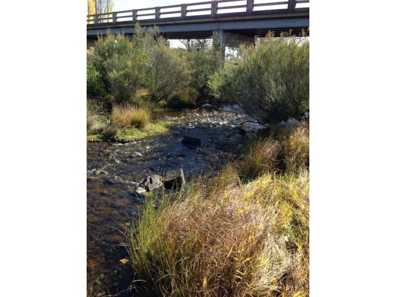 Lot 3,4,5,10 Tenterfield Street, Deepwater NSW 2371