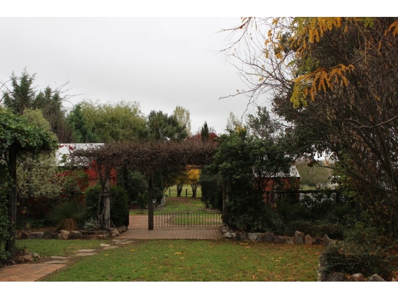50 Wood Street, Tenterfield NSW 2372