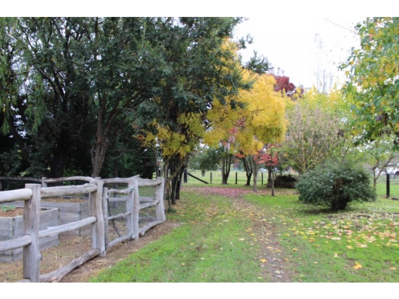 50 Wood Street, Tenterfield NSW 2372