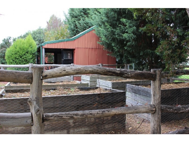 50 Wood Street, Tenterfield NSW 2372