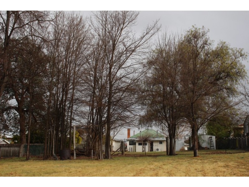 62 High Street, Tenterfield NSW 2372