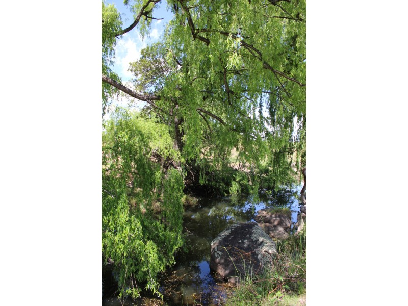 59 Schroders Road, Tenterfield NSW 2372