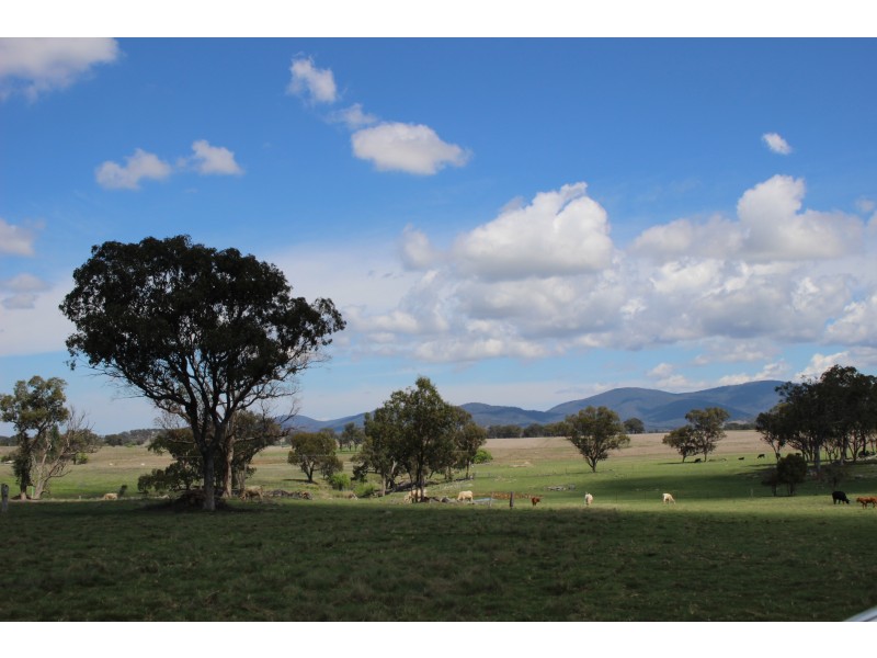 59 Schroders Road, Tenterfield NSW 2372