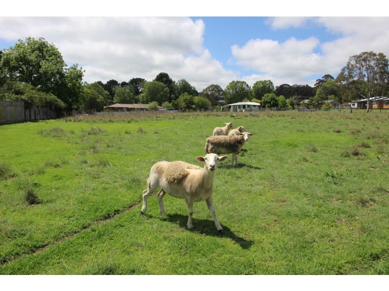 61-63 Clive Street, Tenterfield NSW 2372