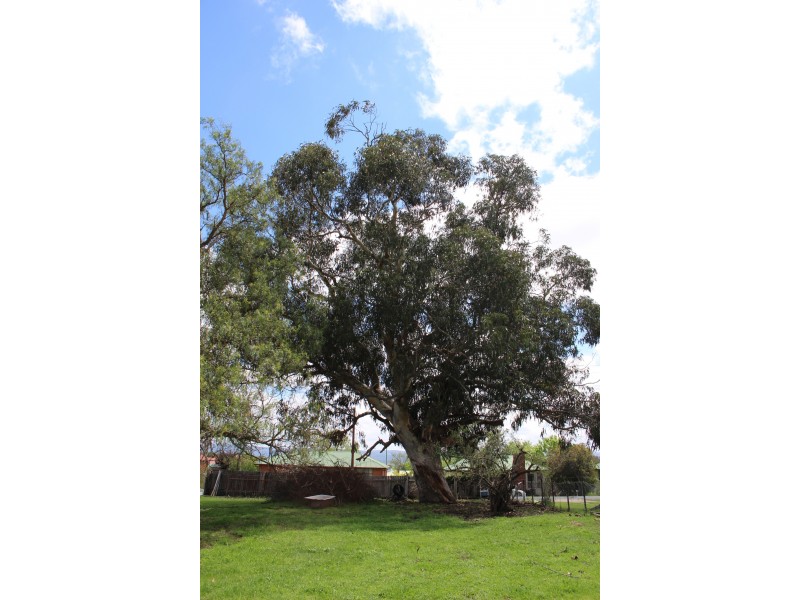 63 Clive Street, Tenterfield NSW 2372