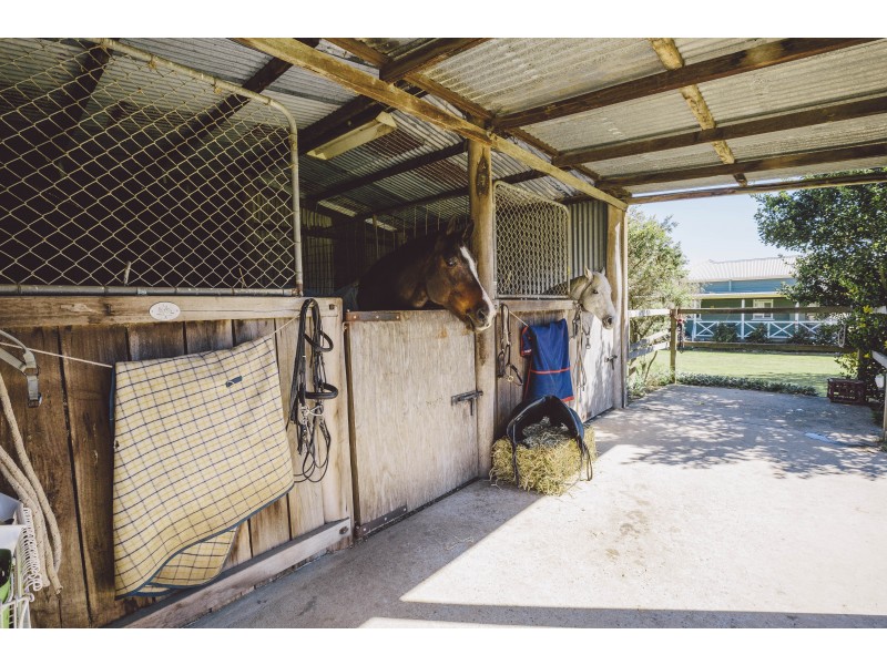 Tenterfield NSW 2372