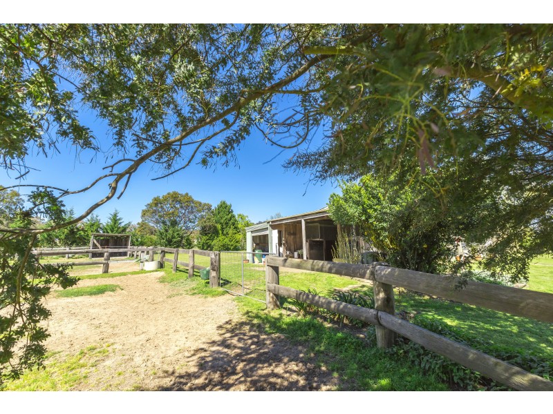 Tenterfield NSW 2372