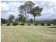 Tenterfield NSW 2372