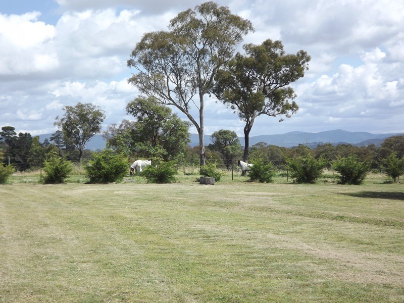 Tenterfield NSW 2372